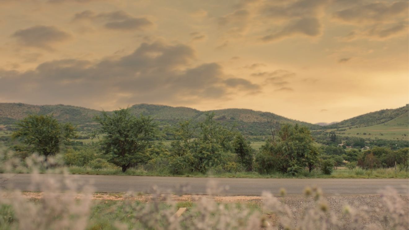 View of open land at sunset