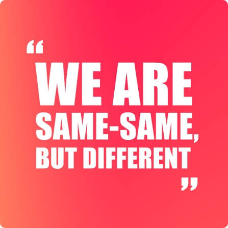 We are Same-Same but Different text
